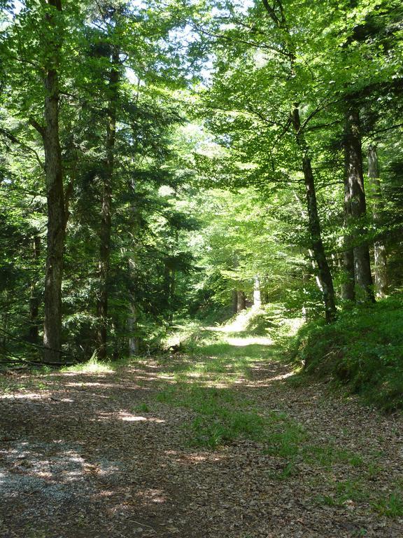 Gasthaus Zum Schwanen Илинген-Биркендорф Экстерьер фото